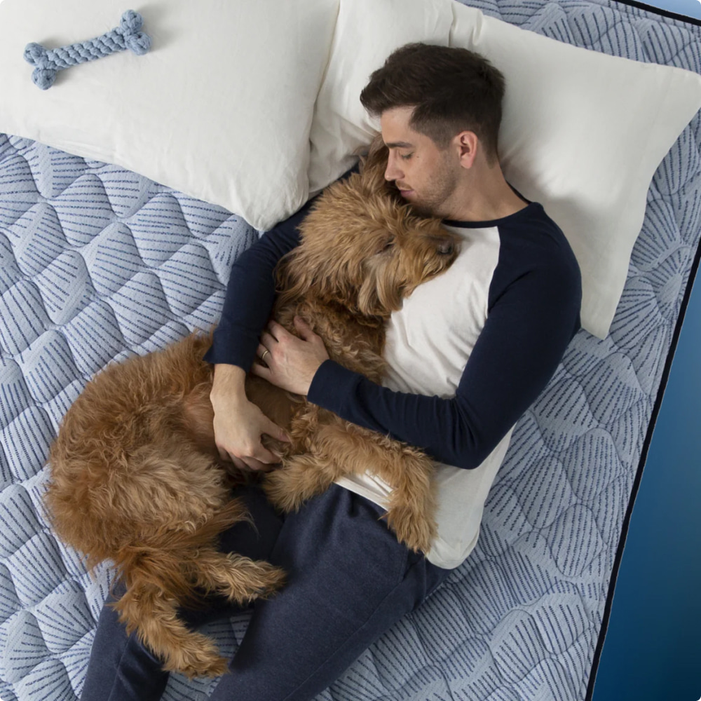 Perfect Sleeper Nights Mattress 14.5"